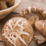 shiitake - ИА Общественная служба новостей
