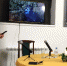 Проект видео-семинаров «Духовное наследие протоиерея Александра Меня» представлен в рамках XV Меневских чтений - Благовест-Инфо