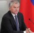 Володин попросил депутатов Терешкову и Чилингарова работать дистанционно - M24.Ru
