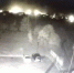 Последние секунды полета Ан-26 под Харьковом попали на видео - M24.Ru