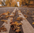 road-4536063_1280 - Мой район