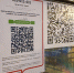 Рестораторы выразили готовность внедрять систему QR-кодов в дневных заведениях - M24.Ru