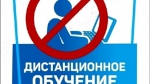 Народ говорит решительное «нет» дистанционке!