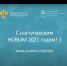 Позиционируй страну грамотно - Гос. ИРЯ им. А.С. Пушкина