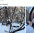 Фото: скриншот страницы в соцсети - Район Бибирево СВАО Москвы