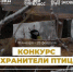 Вторсырье спасет зимующих птиц: стартовал конкурс по изготовлению экокормушек - Molnet.Ru