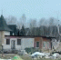 Волонтеры обвинили приют в убийстве собак - ИА Общественная служба новостей