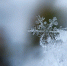 Фото: pixabay.com - Район Восточное Дегунино САО