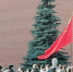 Вечная память Иосифу Сталину! (фоторепортаж) - КПРФ