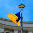 Украина - правительство - флаг - ИА Общественная служба новостей