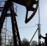 ОПЕК ухудшила прогноз нефтедобычи в России в 2021 году - ИА Общественная служба новостей