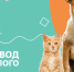 Весенняя выставка-пристройство собак и кошек из приютов в ЦСИ "Винзавод" - Molnet.Ru