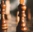 Фото: pixabay.com - Район Новокосино ВАО г. Москвы