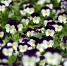 Фото: pixabay - Район Марьина Роща СВАО