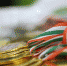 Фото: pixabay.com - Тимирязевский район САО Москвы