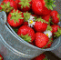 pixabay.com - Район Северное Тушино СЗАО