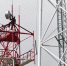 В кабмине назвали сроки появления в России сети 6G - Говорит Москва