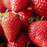 фото: pixabay - Район Восточное Измайлово ВАО