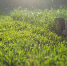 Фото: Pixabay - Район Марфино СВАО Москвы