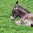 Фото: pixabay.com - Район Северное Тушино СЗАО