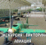 Музей Победы подготовил онлайн-программу ко Дню Военно-Воздушных сил - Информационный Центр