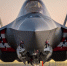 истребитель F-35 - ИА Общественная служба новостей