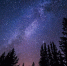 Фото: pixabay.com - Район Северное Медведково СВАО