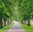 Фото: Pixabay.com - Район Восточное Дегунино САО