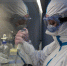 Voronovskoye Moscow Infectious Diseases Clinical Center amid COVID-19 pandemic - ИА Общественная служба новостей