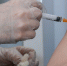 вакцинация - ИА Общественная служба новостей