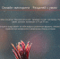 Пластик к пластику, бумага к бумаге: Мосприрода проведет интеллектуальную игру «Разделяй с умом» - Департамент природопользования