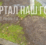 На 3-м Люберецком проезде восстановили газон - Район Выхино-Жулебино ЮВАО
