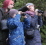Участники EuroBirdwatch 2021 насчитали более 3200 птиц на природных территориях столицы - Вечерняя Москва