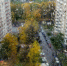 На текущей неделе в Москве выпадет треть месячной нормы осадков - Molnet.Ru