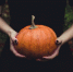 Фото: pixabay.сom - Район Восточное Дегунино САО