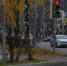 Новые тренды развития отрасли представил Мостуризм. Фото: Анна Быкова - Район Замоскворечье