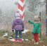 изображение_2021-11-13_102629 - ИА Общественная служба новостей