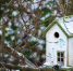 Фото: pixabay - Район Свиблово СВАО Москва