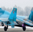 Российские истребители Су-27 сопроводили воздушные суда Франции над Черным морем - Вечерняя Москва