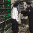 000248094-8550240823 - ИА Общественная служба новостей