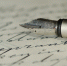 fountain-pen-g7599ebcda_1920.jpg - Район Бирюлево Западное ЮАО