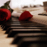 Фото: pixabay.com - Префектура ЮВАО Москвы