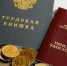 Пенсионная и трудовая книжки - ИА Общественная служба новостей