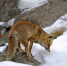 Фото: pixabay.com - Молжаниновский район САО Москвы