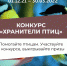 Ecowiki приглашает россиян спасти зимующих птиц от голода - Molnet.Ru