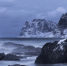 Природа. Фото: pixabay - Район Свиблово СВАО Москва