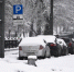 Парковки на улицах Москвы будут бесплатными в праздники - M24.Ru