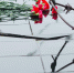 https://www.culture.ru/events/779336/den-pamyati-zhertv-politicheskikh-repressii-videoinformaciya-ne-mozhet-byt-zabvenya#materials - Московская правда