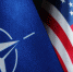 В США перечислили «бесполезные» страны-участницы НАТО - ИА Общественная служба новостей