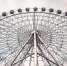 Фото: pixabay.com - Район Восточное Измайлово ВАО